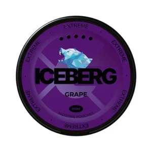 ICEBERG Grape Mini Extreme